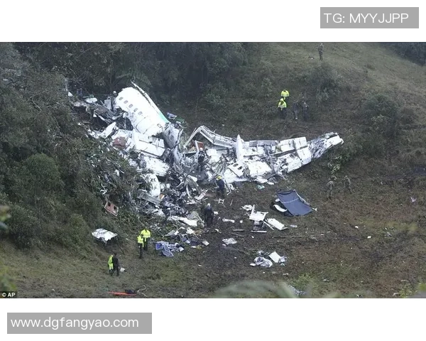 外国飞机失事导致足球明星不幸遇难引发全球哀悼与关注