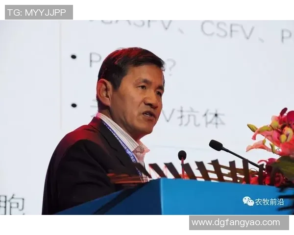 陈军专访:从青涩少年到网球高手的奋斗与成长之路